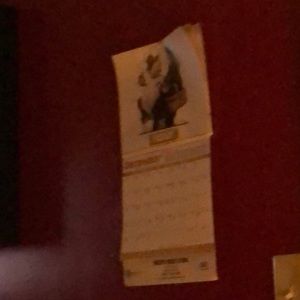 Meet your Posher, Jess